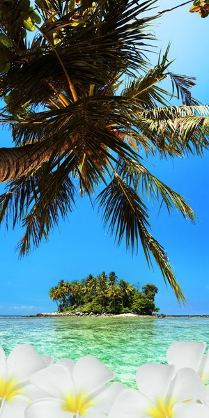 Tropical scene. Vertical panoramic composition.