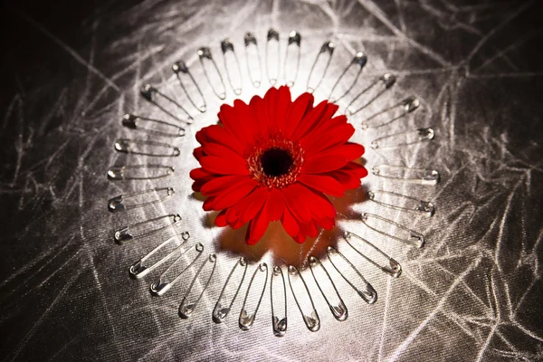 Red flower inside a circle of pins