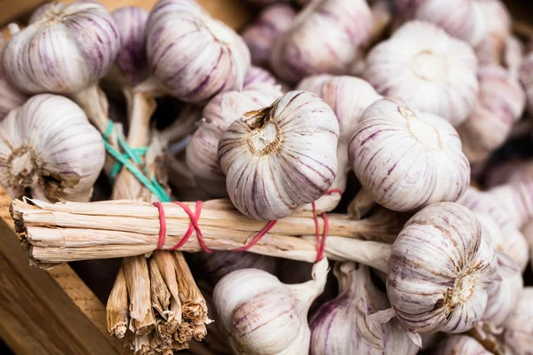 Close up of garlic on market stand
