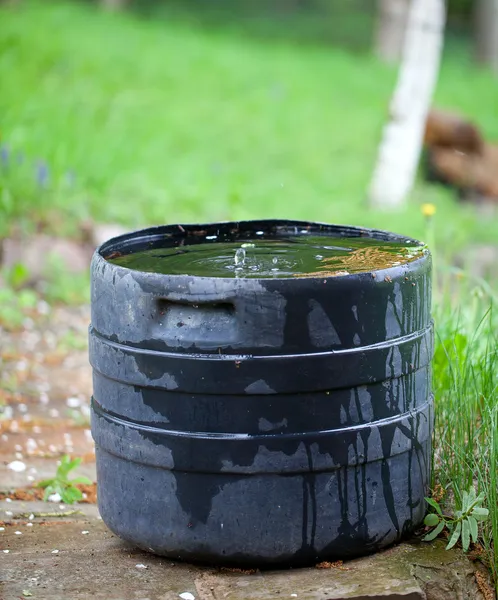 Plastic container collecting rain water for plant watering
