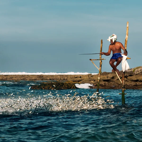 Sri Lankan traditional fisherman on stick in the Indian ocean