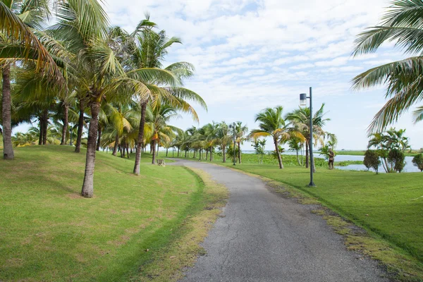 Sidewalk in the park