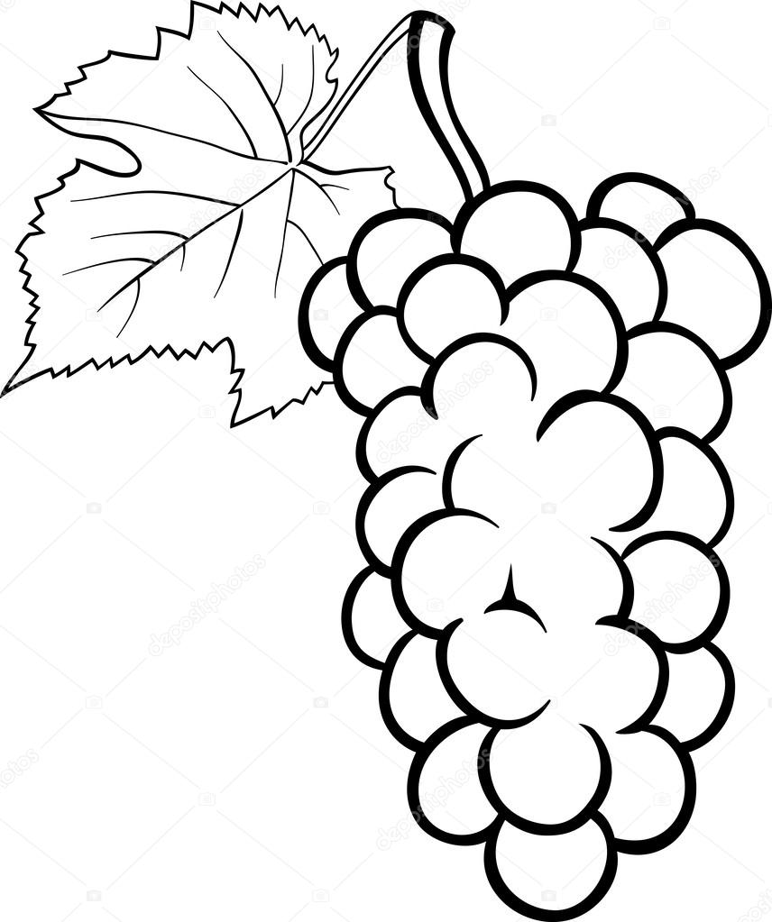 free clipart grapes black and white - photo #50