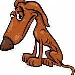 Poor homeless dog cartoon illustration — Stock Vector © izakowski #46606523