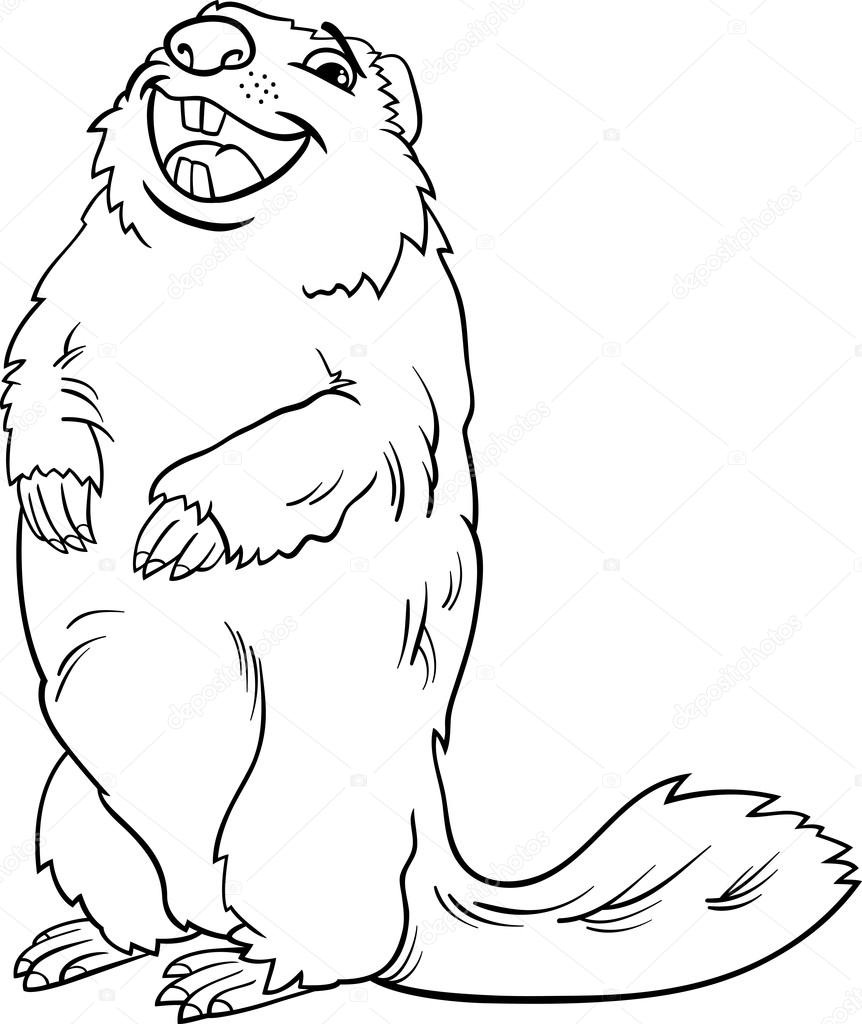 yellow bellied marmot coloring pages - photo #9
