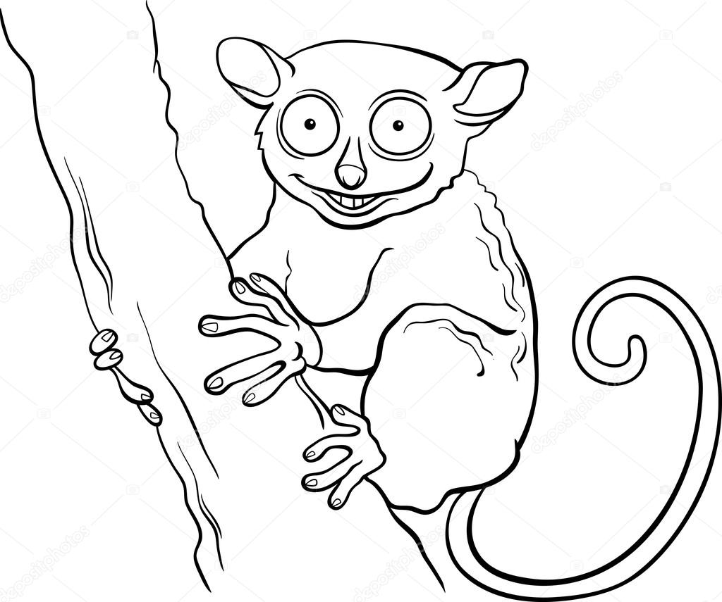 tarsier coloring pages - photo #9