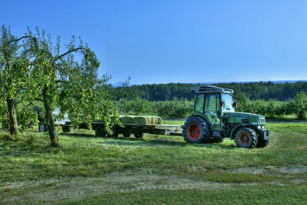 Apple orchard tractor
