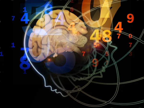 Numbers of the Mind