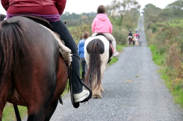 Pony trekking on a country road