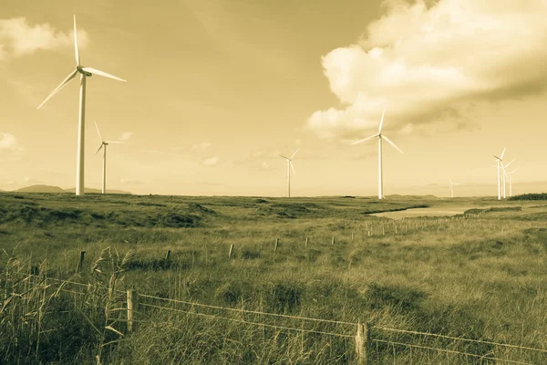 Long grass and bogland with wind turbines in sepia
