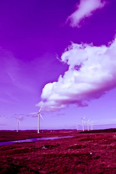 Long grass and bogland with wind turbines toned