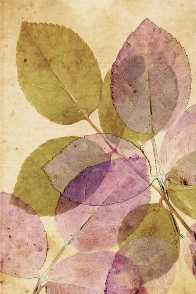 Beautiful, subtle vintage background with beautiful leaves