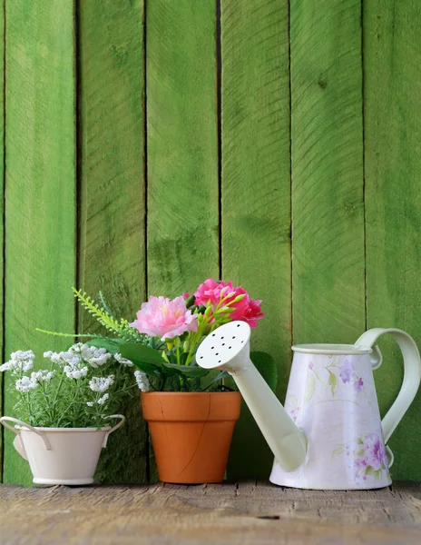 Rustic still life watering can, flowers in pots, garden tools