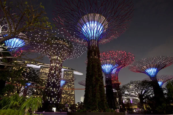 Night view of The Supertree Grove at Gardens by the Bay