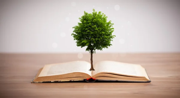 Tree growing from an open book