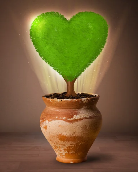 Eco heart tree coming out from flowerpot