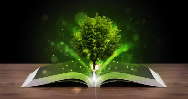 Open book with magical green tree and rays of light