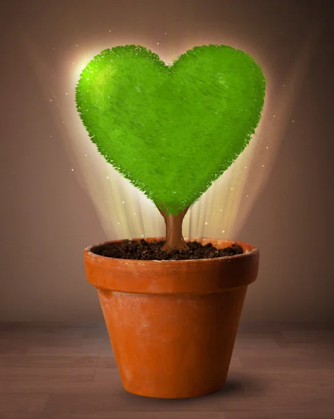 Eco heart tree coming out from flowerpot