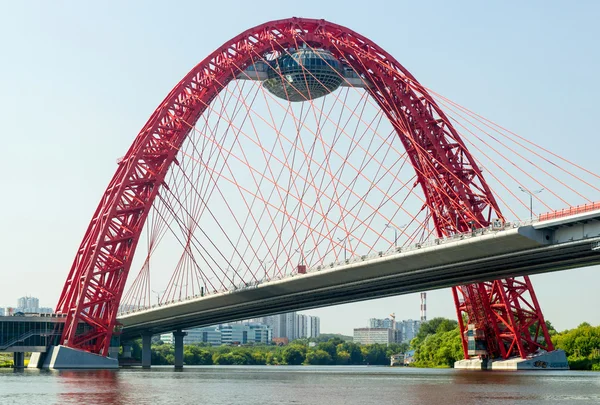 Modern cable-stayed bridge in Moscow