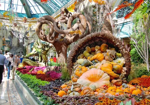 Autumn theme in a greenhouse at Bellagio Hotel in Las Vegas