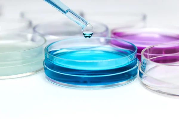 Pipette with drop of color liquid and petri dishes