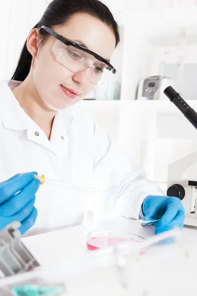 laboratory assistant analyzing a sample — Stock Photo #34253335