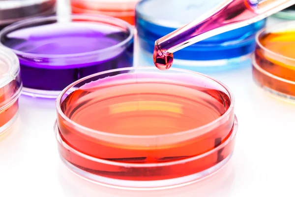 Pipette with drop of color liquid and petri dishes — Stock Photo #37333437