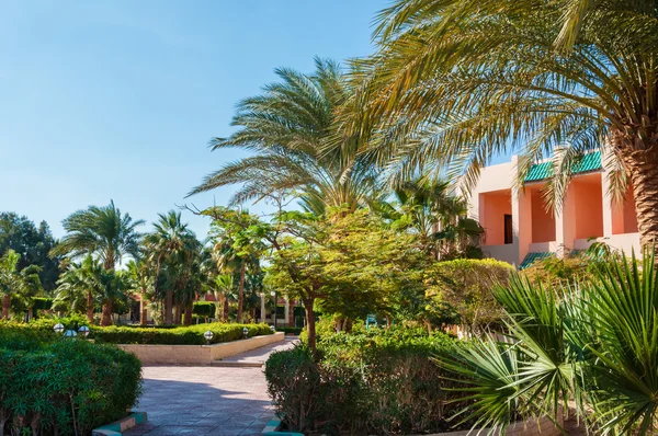 Beautiful park with palms in a five star hotel. Hurghada, Egypt.