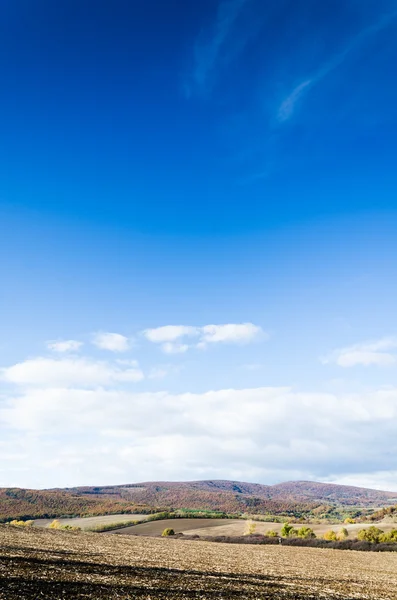 Brown field and blue sky