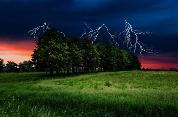 Thunderstorm with lightning in green meadow