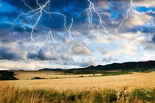 Thunderstorm with lightning in wheat land