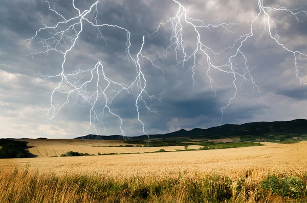 Storm in wheat land