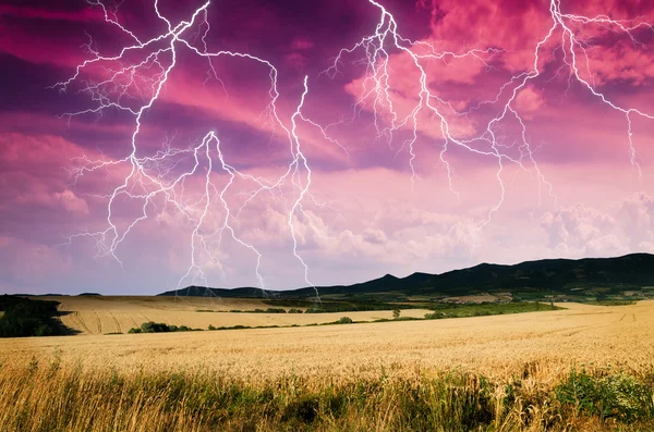 Thunderstorm with lightning in wheat land