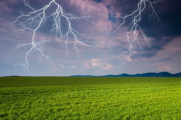 Thunderstorm with lightning in green meadow