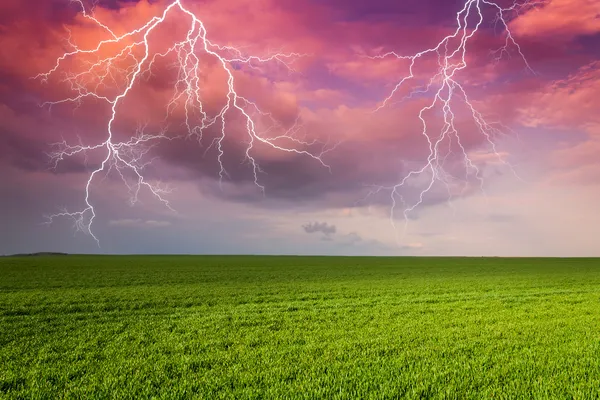 Thunderstorm with lightning in green meadow