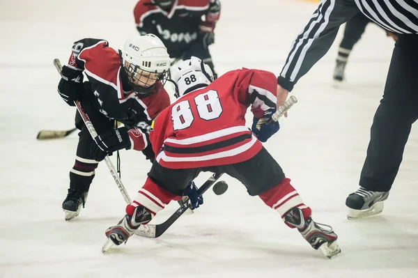 Puck playing between players of 2 ice-hockey teams