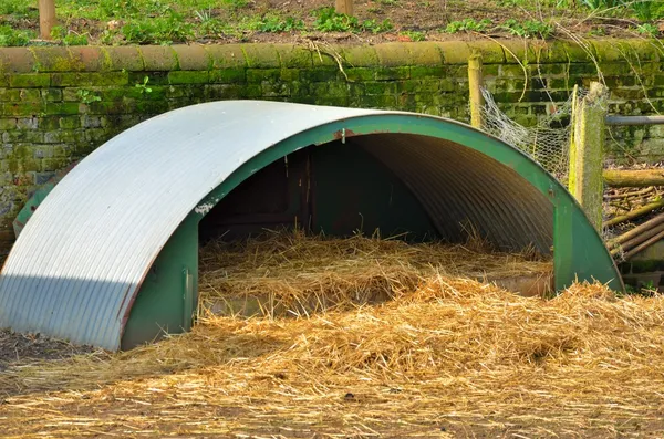 Corrugated iron animal pen