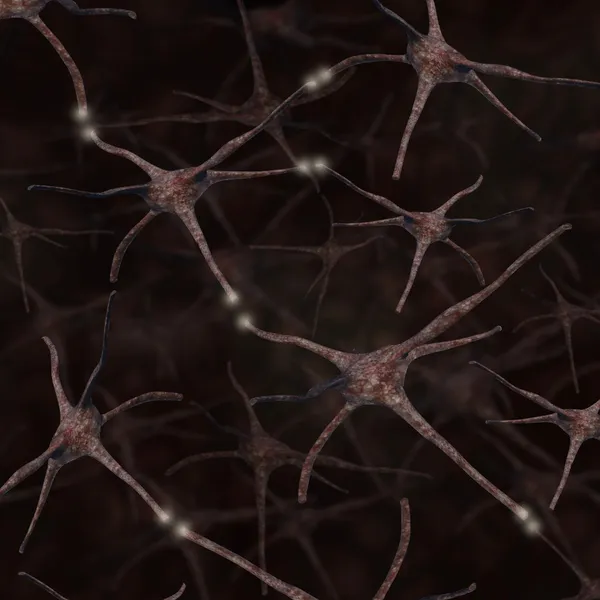 Neurons