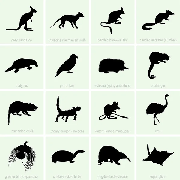Australia's animal icons — Stock Vector #26484695