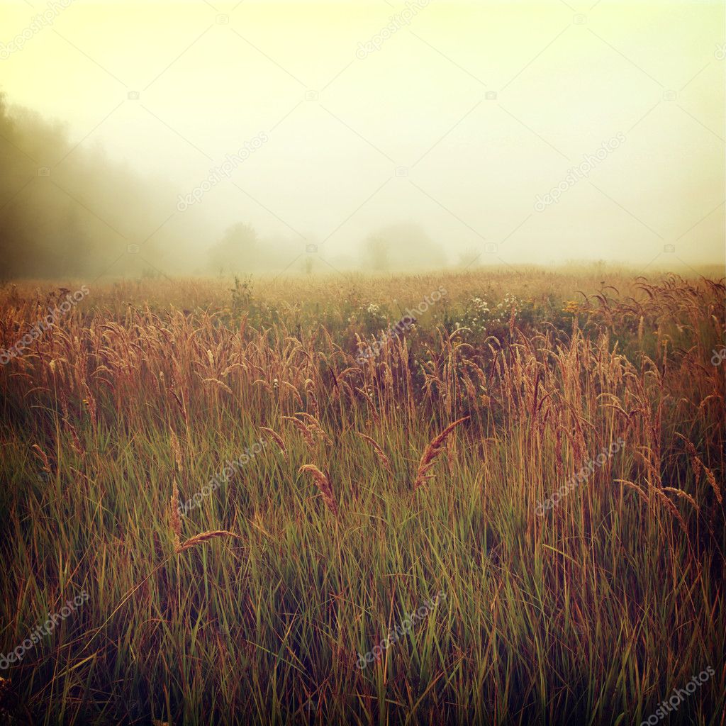 depositphotos_252987