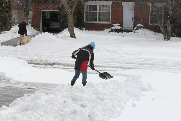 Lady Shoveling Snow from Driveway