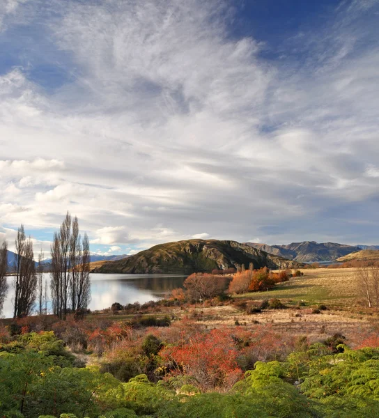 Lake Wanaka Vertical Panorama in Autumn, Otago New Zealand