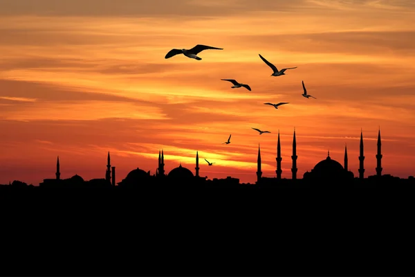 City of Istanbul silhouette against sunset