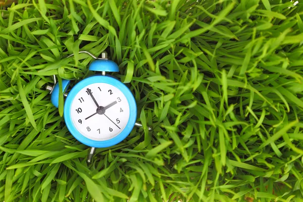 Blue alarm clock on green grass, conceptual.