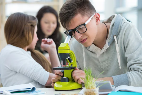 High School students. Group of excited students working in class