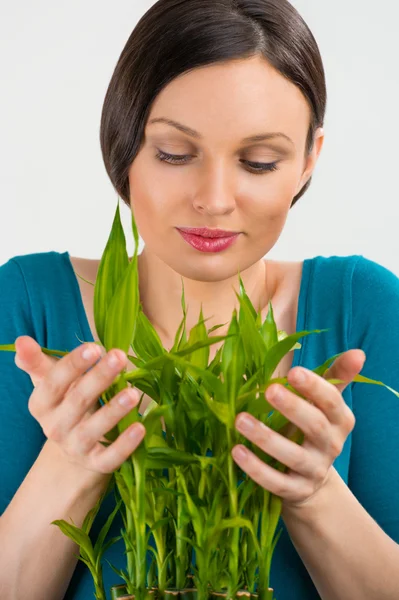 Woman holding lucky bamboo plant