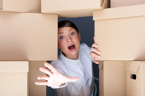 depositphotos_9249278-Portrait-of-young-woman-surrounded-by-lots-of-boxes.-Lots-of-work-concept.jpg