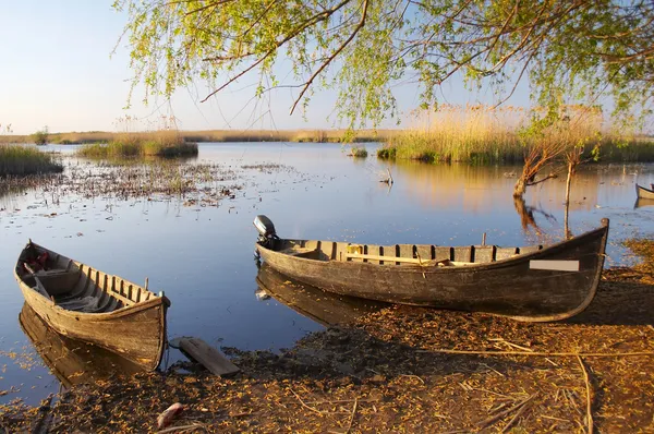 Old boats