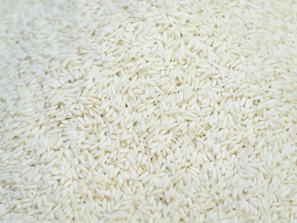 Background of the raw Glutinous rice
