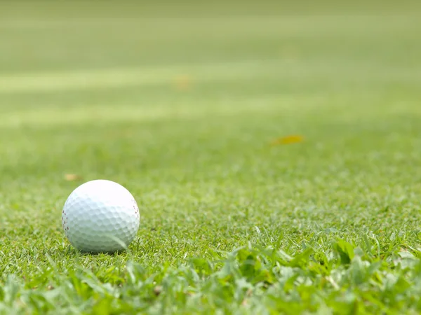 Old golf ball on green tee